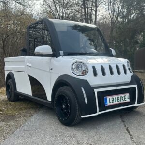 elektroautos transporter